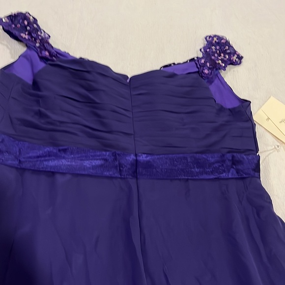 Regency Formal floor length gown - Picture 5 of 14